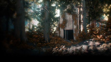 Asemblance: Oversight Game