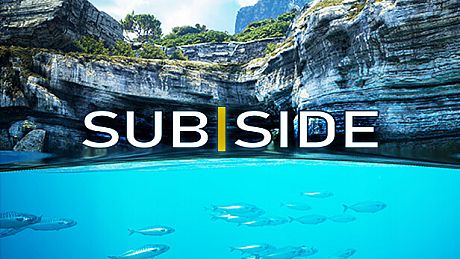 Subside Game