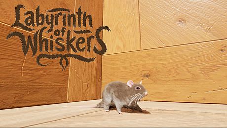 Labyrinth of Whiskers Game