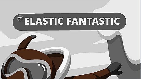 Elastic Fantastic Game