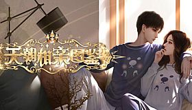 天朝相亲图鉴