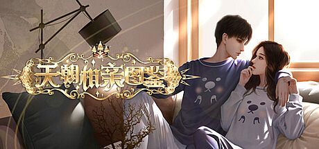 天朝相亲图鉴 Game