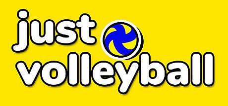 just volleyball Game