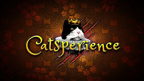 Catsperience Game