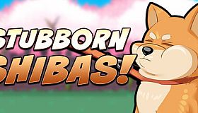 Stubborn Shibas
