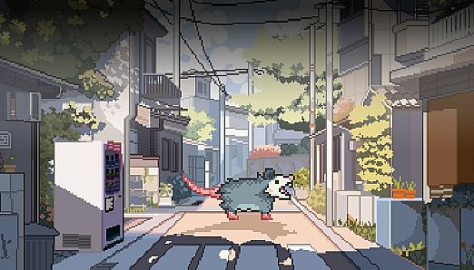 Possum is Hungry Pack