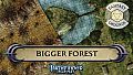 Fantasy Grounds - Pathfinder RPG - Pathfinder Flip-Mat - Bigger Forest