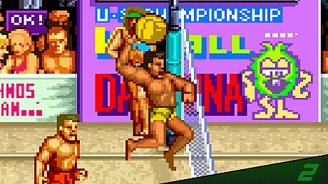 Arcade Archives 2 V'BALL Game