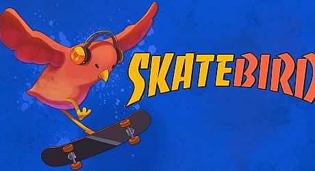 SkateBIRD Game