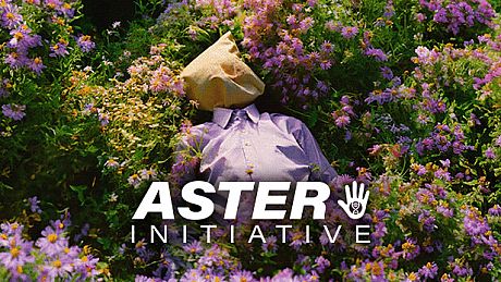 Aster Initiative Game