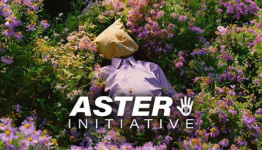 Aster Initiative