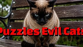 Puzzles Evil Cats