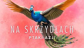 Wingspan: Asia Expansion