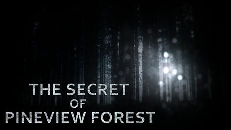 The Secret of Pineview Forest Game