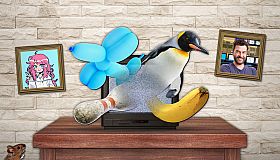 Salamander County Public Television