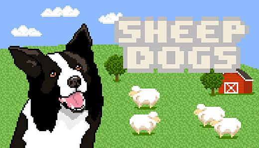 Sheepdogs