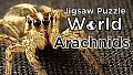 Jigsaw Puzzle World - Arachnids