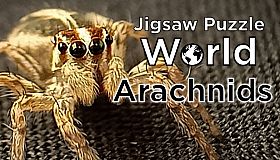 Jigsaw Puzzle World - Arachnids