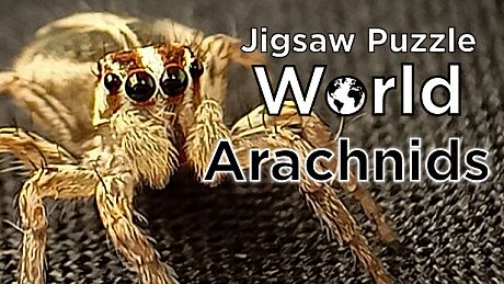 Jigsaw Puzzle World - Arachnids