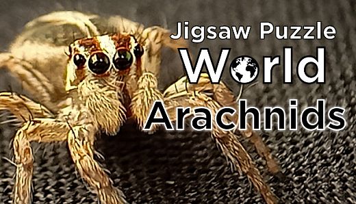 Jigsaw Puzzle World - Arachnids