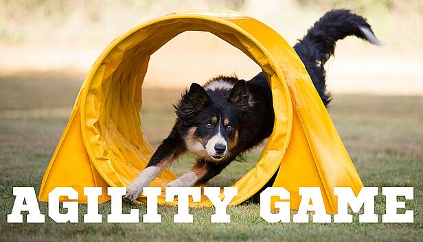 Buy Agility Game