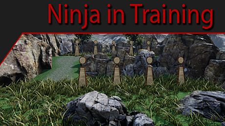 Ninja in Training Game