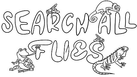 SEARCH ALL - FLIES Game