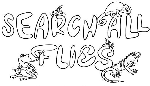 SEARCH ALL - FLIES