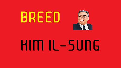 Breed Kim Il-Sung Game