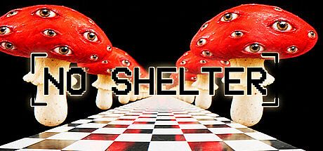NO SHELTER