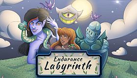Endurance Labyrinth