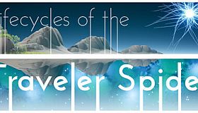 Lifecycles of the Traveler Spider