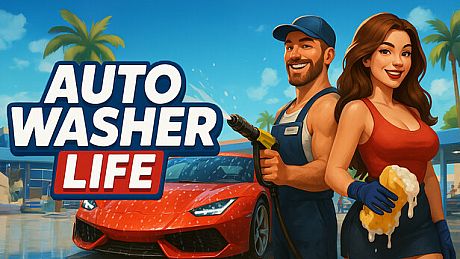 Auto Washer Life Game