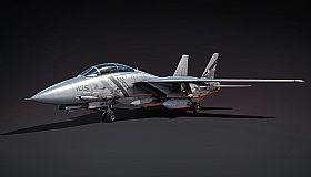 War Thunder - F-14D Bundle