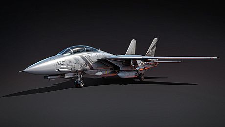 War Thunder - F-14D Bundle Game