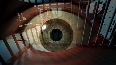 Decay Collection Bundle