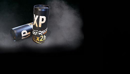 Tom Clancy’s Ghost Recon Wildlands - Permanent XP booster