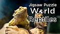 Jigsaw Puzzle World - Reptiles