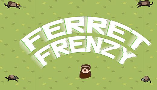 Ferret Frenzy