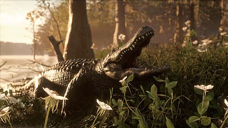 theHunter: Call of the Wild - Mississippi Acres Preserve Bundle