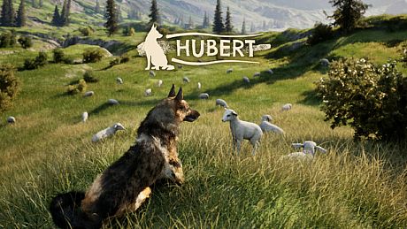 Hubert Game