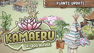 Kamaeru: A Frog Refuge