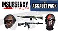Insurgency: Sandstorm - Assault Pack