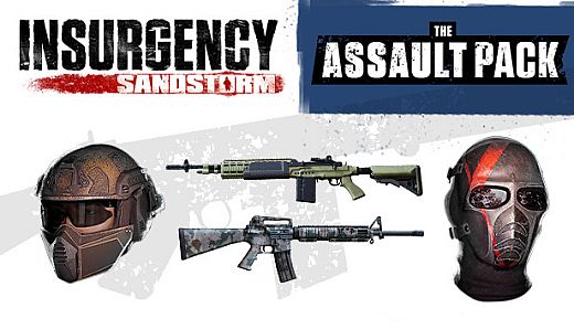 Insurgency: Sandstorm - Assault Pack