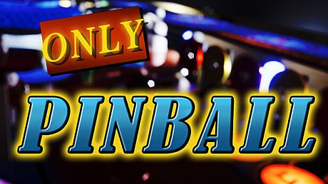 Only Pinball Game