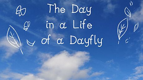 The Day in a Life of a Dayfly Game