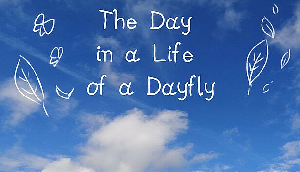 Buy The Day in a Life of a Dayfly