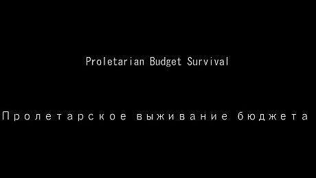 Proletarian Budget Survival Game