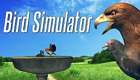 Bird Simulator