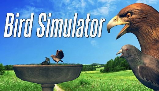 Bird Simulator